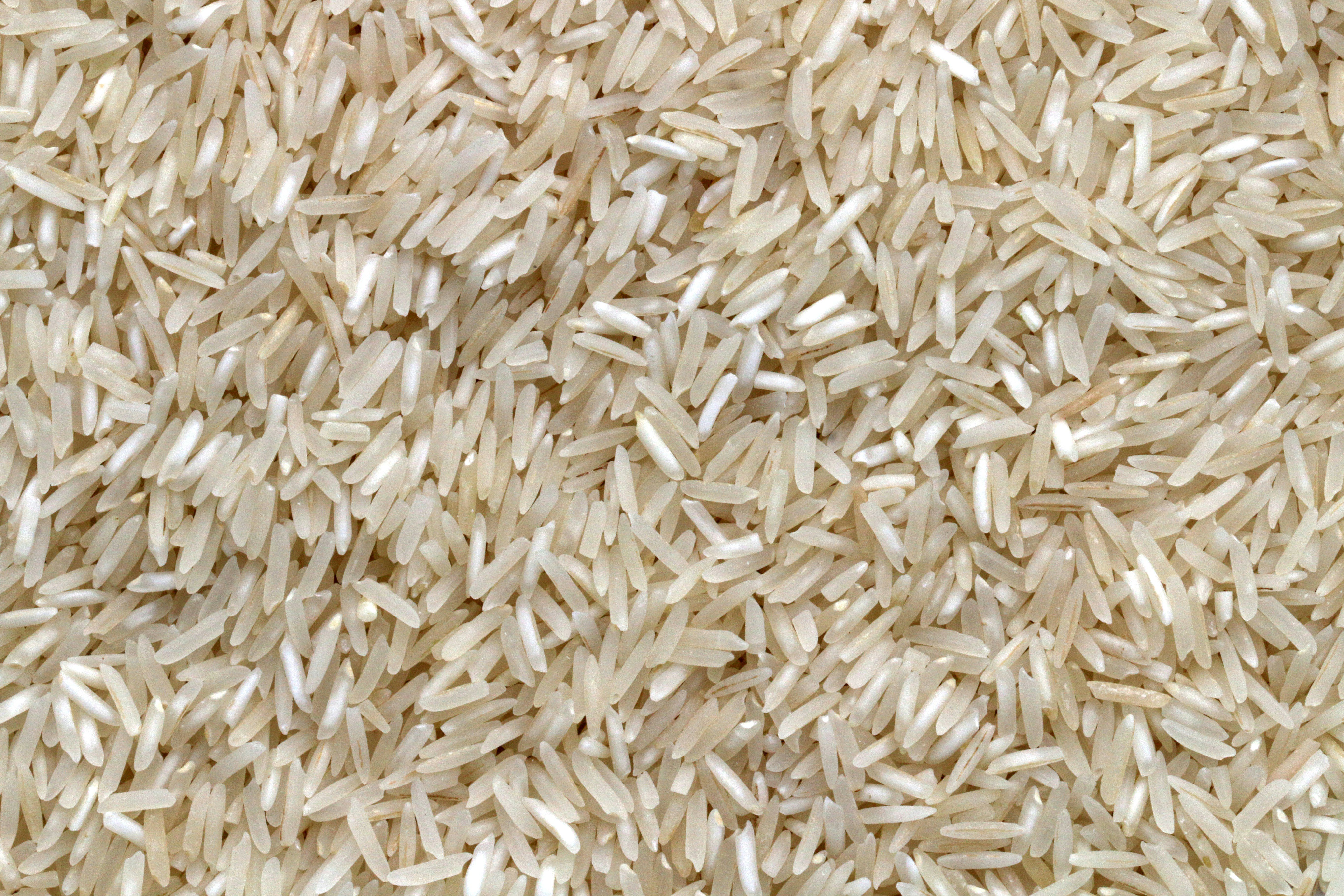 Arroz largo